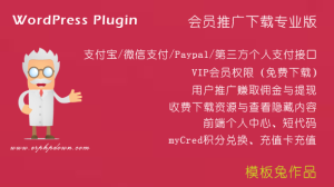 WP免登陆付费下载插件Erphpdown_V13.33中文特别版-041专属