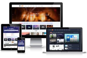 RiPro-V2主题v4.8最新官方正版-041专属